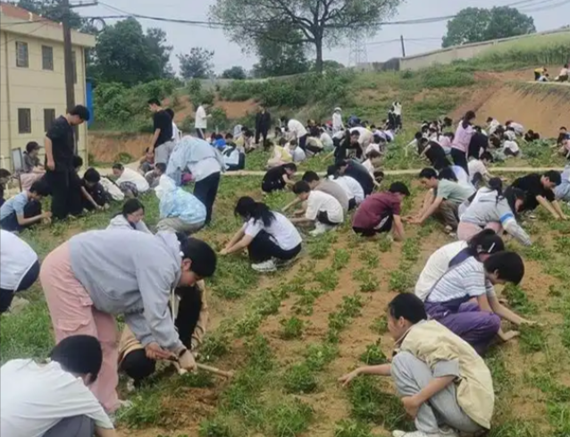 劳动教育依然是大学生成长路上不可或缺的养分