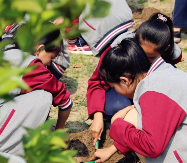 课后作业到学业评价全面分层让每一位学生都能适配自身学习节奏