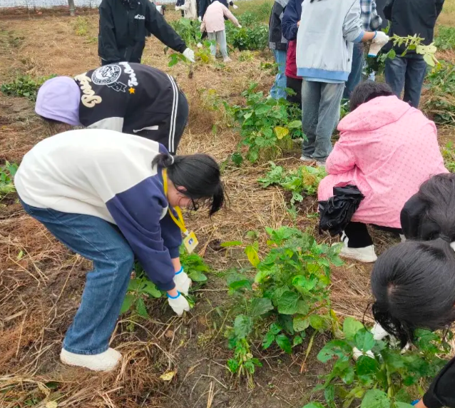 教研同步继续拓宽学子升学渠道助力广阔学子圆梦