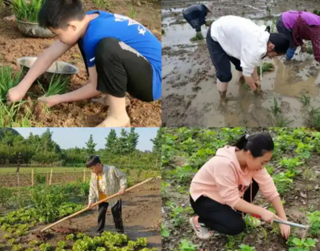 搭建实景讲堂实时收集学生劳作数据用智能点评代替纸质打分