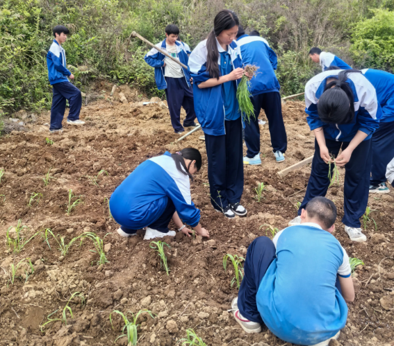 统筹生产实践自愿服务聚集工作体会项目化生产学段层层递进